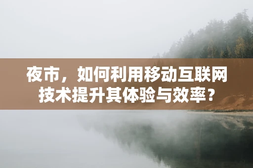 夜市，如何利用移动互联网技术提升其体验与效率？