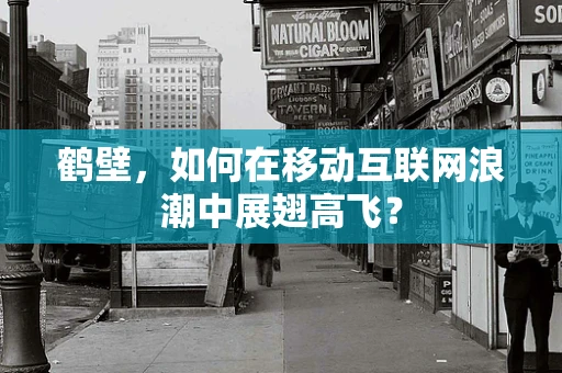 鹤壁，如何在移动互联网浪潮中展翅高飞？