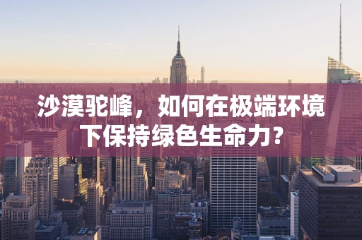 沙漠驼峰，如何在极端环境下保持绿色生命力？