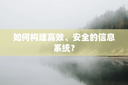 如何构建高效、安全的信息系统？