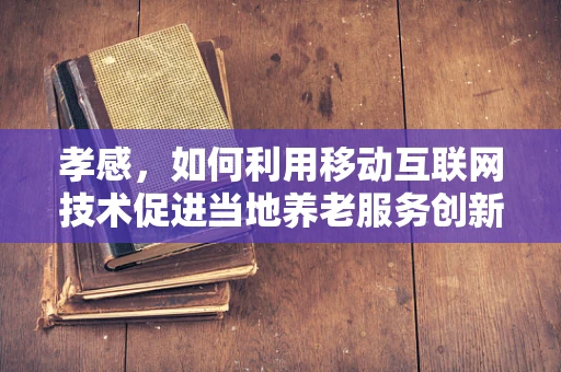 孝感，如何利用移动互联网技术促进当地养老服务创新？