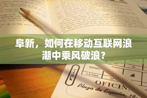 阜新，如何在移动互联网浪潮中乘风破浪？