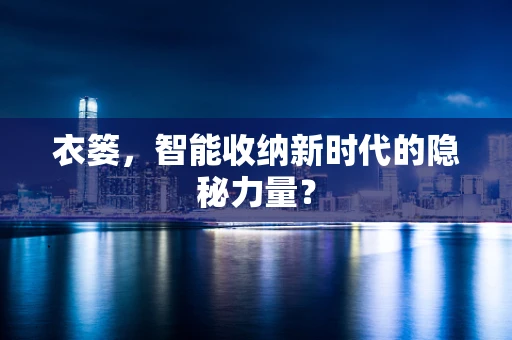 衣篓，智能收纳新时代的隐秘力量？