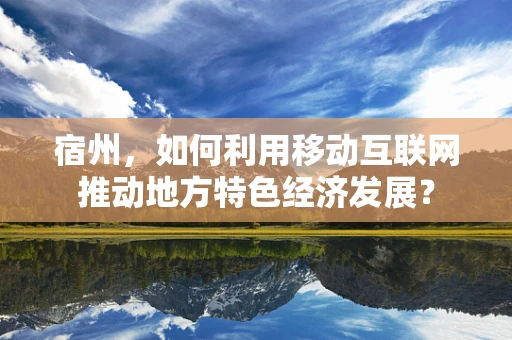 宿州，如何利用移动互联网推动地方特色经济发展？