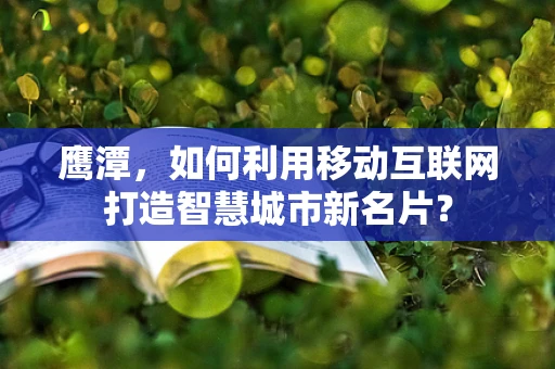 鹰潭，如何利用移动互联网打造智慧城市新名片？