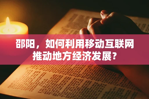 邵阳，如何利用移动互联网推动地方经济发展？