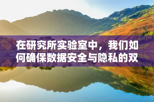 在研究所实验室中，我们如何确保数据安全与隐私的双重保障？