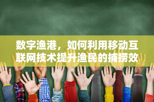 数字渔港，如何利用移动互联网技术提升渔民的捕捞效率？