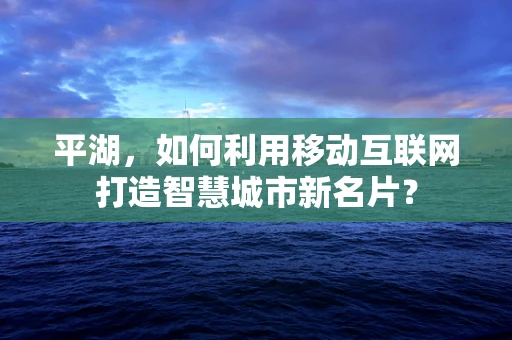 平湖，如何利用移动互联网打造智慧城市新名片？