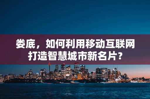 娄底，如何利用移动互联网打造智慧城市新名片？