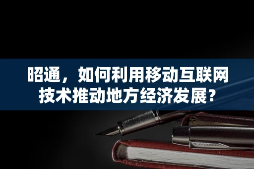 昭通，如何利用移动互联网技术推动地方经济发展？