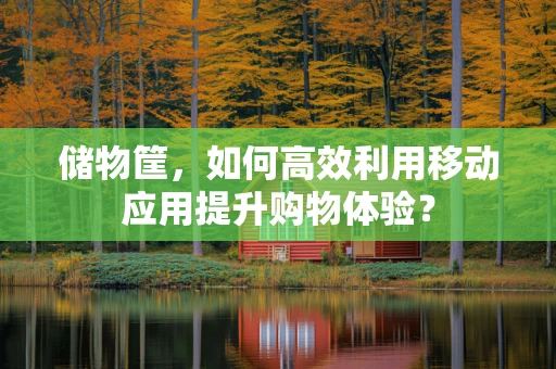 储物筐，如何高效利用移动应用提升购物体验？