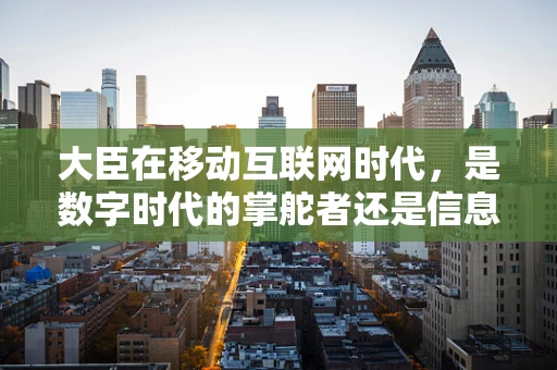 大臣在移动互联网时代，是数字时代的掌舵者还是信息洪流中的旁观者？