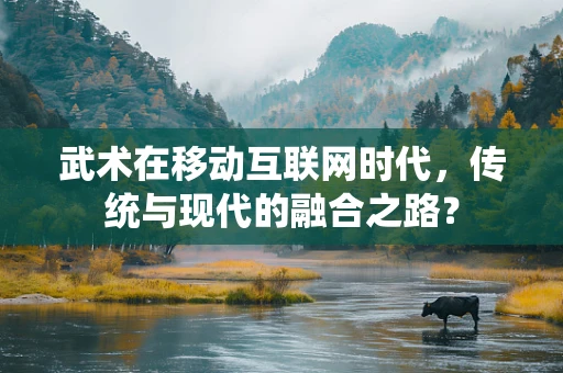 武术在移动互联网时代，传统与现代的融合之路？