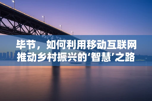 毕节，如何利用移动互联网推动乡村振兴的‘智慧’之路？