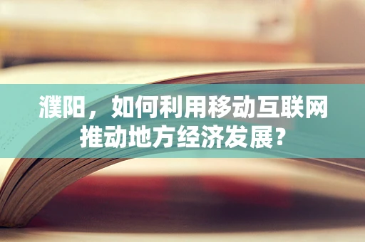 濮阳，如何利用移动互联网推动地方经济发展？