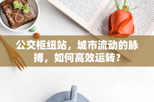 公交枢纽站，城市流动的脉搏，如何高效运转？