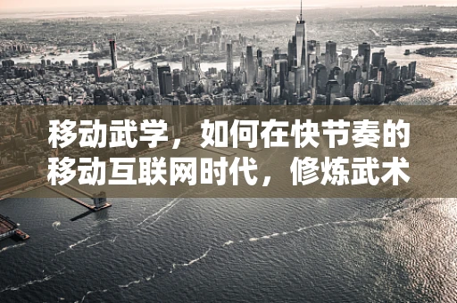 移动武学，如何在快节奏的移动互联网时代，修炼武术的‘静’与‘动’？