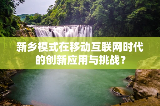 新乡模式在移动互联网时代的创新应用与挑战？