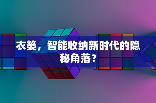 衣篓，智能收纳新时代的隐秘角落？