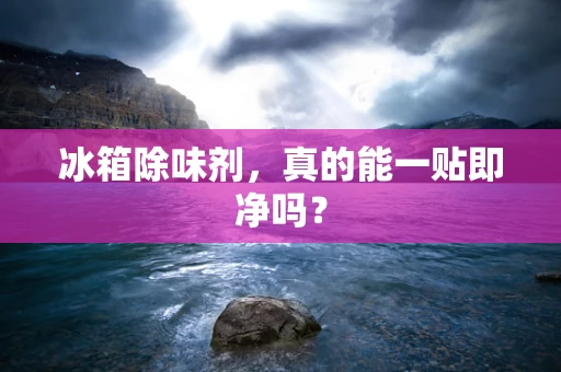 冰箱除味剂，真的能一贴即净吗？