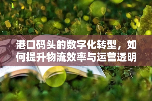 港口码头的数字化转型，如何提升物流效率与运营透明度？