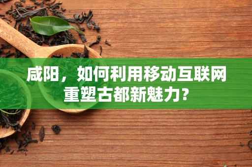 咸阳，如何利用移动互联网重塑古都新魅力？