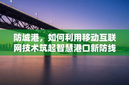 防城港，如何利用移动互联网技术筑起智慧港口新防线？