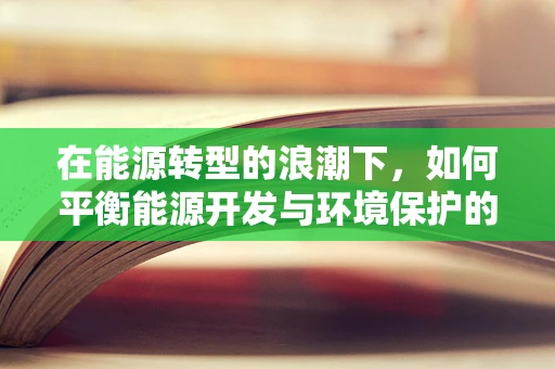 在能源转型的浪潮下，如何平衡能源开发与环境保护的经济学考量？