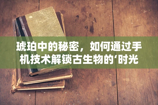 琥珀中的秘密，如何通过手机技术解锁古生物的‘时光胶囊’？