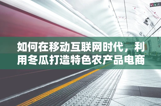 如何在移动互联网时代，利用冬瓜打造特色农产品电商？