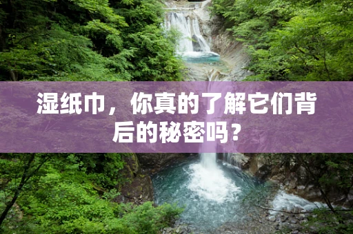 湿纸巾，你真的了解它们背后的秘密吗？