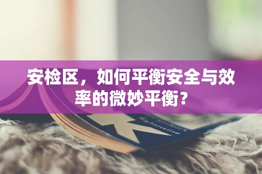 安检区，如何平衡安全与效率的微妙平衡？