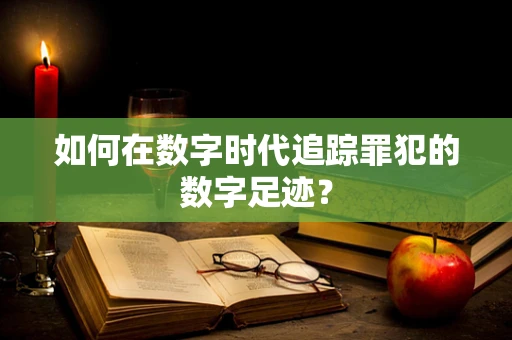 如何在数字时代追踪罪犯的数字足迹？