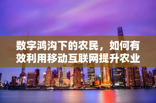 数字鸿沟下的农民，如何有效利用移动互联网提升农业生产效率？