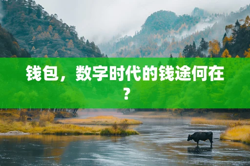 钱包，数字时代的钱途何在？