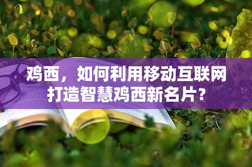 鸡西，如何利用移动互联网打造智慧鸡西新名片？