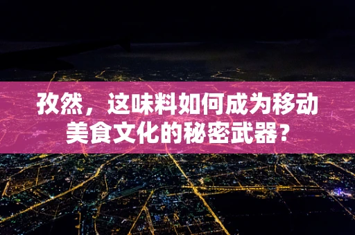 孜然，这味料如何成为移动美食文化的秘密武器？