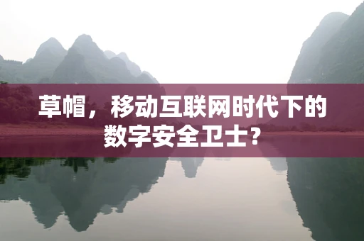 草帽，移动互联网时代下的数字安全卫士？