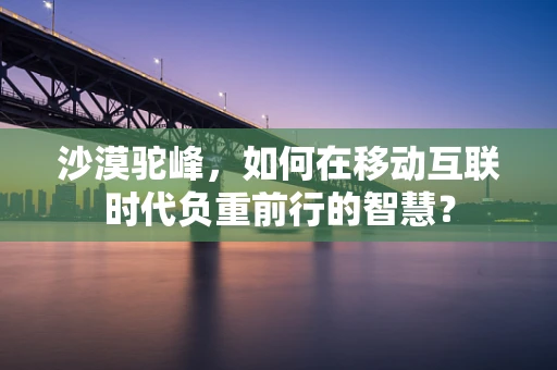 沙漠驼峰，如何在移动互联时代负重前行的智慧？