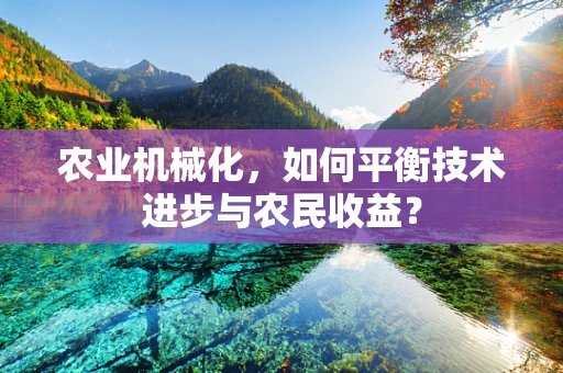 农业机械化，如何平衡技术进步与农民收益？