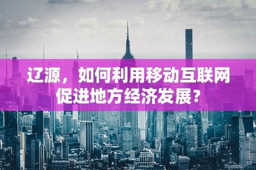 辽源，如何利用移动互联网促进地方经济发展？