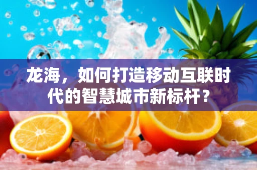 龙海，如何打造移动互联时代的智慧城市新标杆？