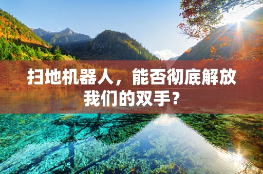 扫地机器人，能否彻底解放我们的双手？