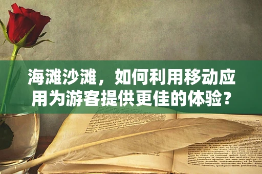 海滩沙滩，如何利用移动应用为游客提供更佳的体验？