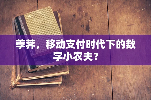 荸荠，移动支付时代下的数字小农夫？