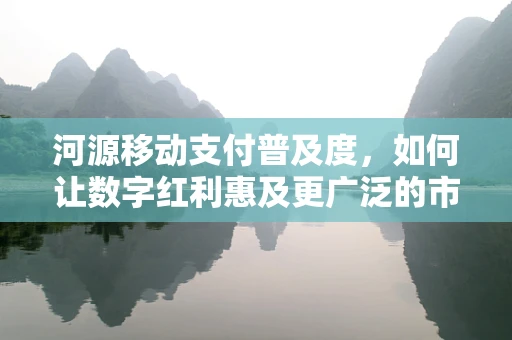 河源移动支付普及度，如何让数字红利惠及更广泛的市民？