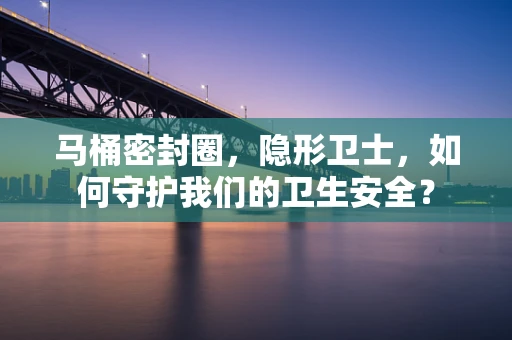 马桶密封圈，隐形卫士，如何守护我们的卫生安全？