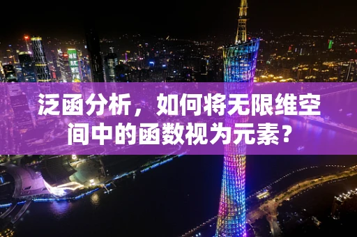 泛函分析，如何将无限维空间中的函数视为元素？