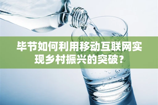 毕节如何利用移动互联网实现乡村振兴的突破？